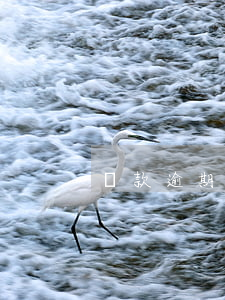 貸款逾期到訪部(貸款逾期移交到外訪)