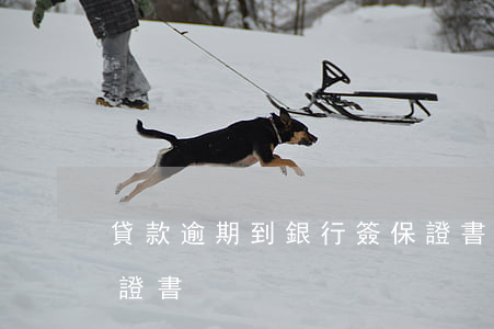 貸款逾期到銀行簽保證書(貸款逾期說明及保證書)