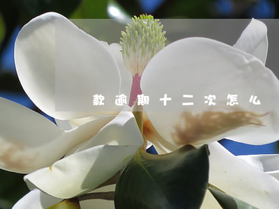 貸款逾期十二次怎么辦(銀行貸款逾期二十天)