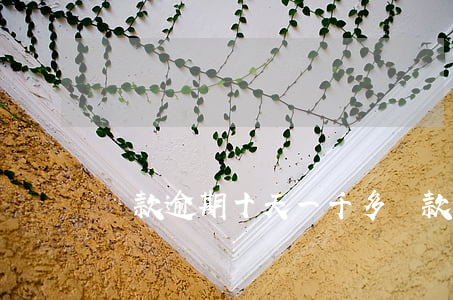 貸款逾期十天一千多(貸款逾期十天一千多)