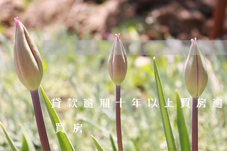 貸款逾期十年以上買房(逾期幾年后可以貸款買房)