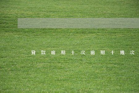 貸款逾期十次(逾期十幾次貸款成功)