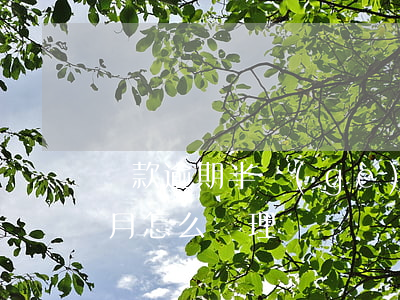 貸款逾期半個(gè)月怎么辦(房貸逾期半月怎么處理)