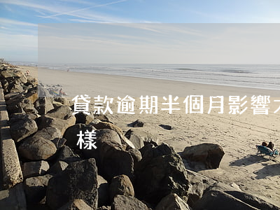 貸款逾期半個月影響大嗎(貸款逾期半年會怎樣)