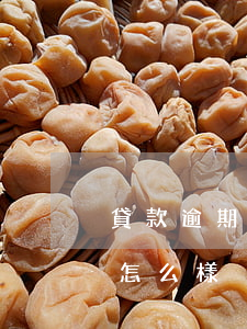 貸款逾期半年了的后果(銀行貸款逾期半年會怎么樣)