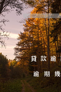 貸款逾期半年銀行強(qiáng)制(銀行逾期幾次就不能貸款了)