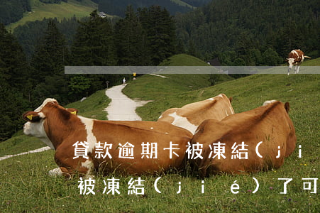 貸款逾期卡被凍結(jié)了(貸款逾期卡被凍結(jié)了可以申請(qǐng)社會(huì)最低保障金么?)