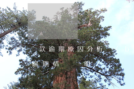 貸款逾期原因分析報(bào)告(銀行貸款逾期情況說明)