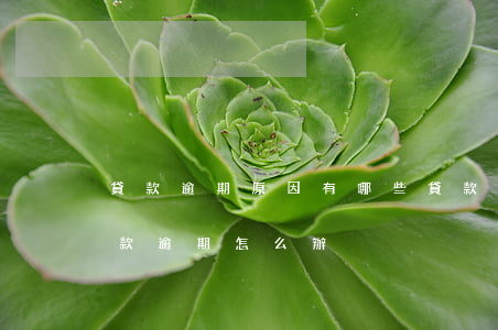 貸款逾期原因有哪些(貸款逾期是什么意思,貸款逾期怎么辦?)
