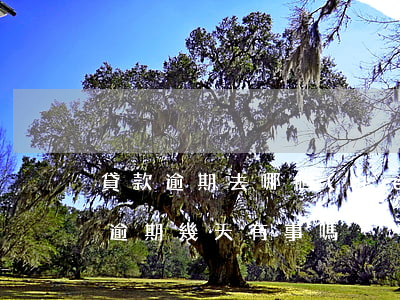 貸款逾期去哪個(gè)銀行貸款(銀行貸款逾期幾天有事嗎)