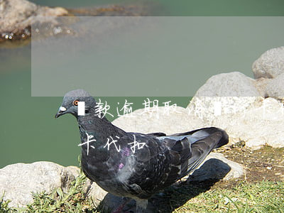 貸款逾期取消銀行卡代扣(貸款逾期取消銀行卡代扣)