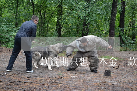 貸款逾期只想還本金(貸款逾期只想還本金)