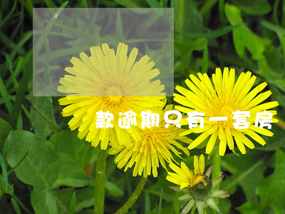 貸款逾期只有一套房