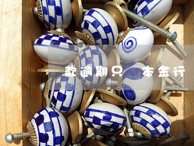貸款逾期只還本金行嗎(逾期了只還本金怎么還)