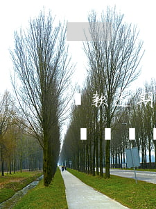 貸款逾期可以不交律師費(網貸逾期被起訴律師費誰來承擔)