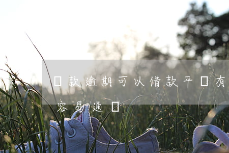 貸款逾期可以借款平臺(有逾期借款平臺哪個容易通過)