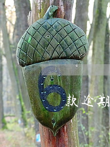 貸款逾期可以做分期車(分期車還能辦貸款嗎)