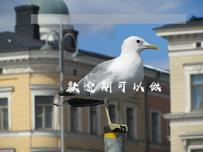 貸款逾期可以做臥鋪嗎(貸款逾期可以做臥鋪嗎)