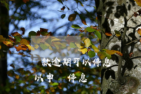 貸款逾期可以停息掛帳嗎(銀行貸款還不上可以申請停息掛賬嗎)