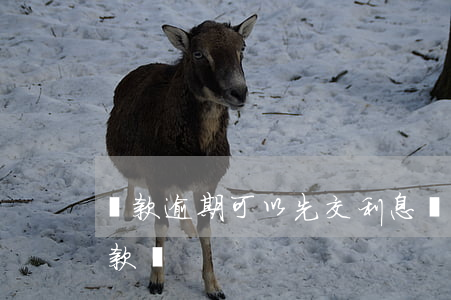 貸款逾期可以先交利息嗎(利息逾期算逾期貸款嗎)