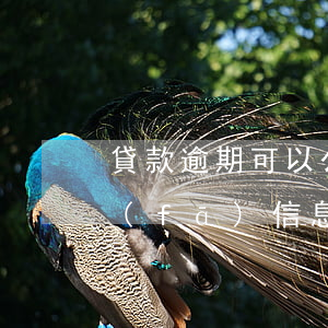 貸款逾期可以公示催告嗎(貸款逾期法院是發(fā)信息通知嗎)