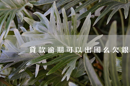 貸款逾期可以出國么(欠銀行貸款可以出國嗎)