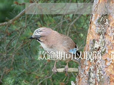 貸款逾期可以取消嗎(逾期了可以貸款嗎)