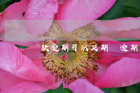 貸款逾期可以延期嗎(逾期了可以貸款嗎)