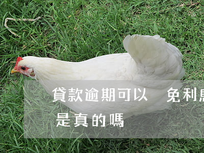 貸款逾期可以減免利息嗎(貸款逾期申請減免是真的嗎)