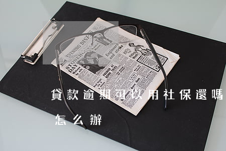 貸款逾期可以用社保還嗎(自己交社保逾期了怎么辦)