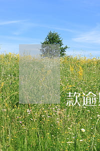 貸款逾期可以考警察嗎(貸款逾期警察會抓人嗎)