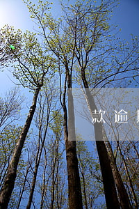 貸款逾期可以起訴嗎