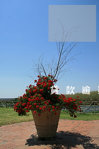 貸款逾期可以辦公司嗎(有逾期還能辦貸款嗎)