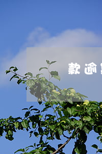 貸款逾期可以辦理深戶嗎