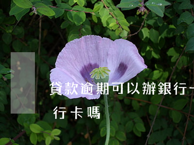 貸款逾期可以辦銀行卡不(貸款逾期影響辦銀行卡嗎)