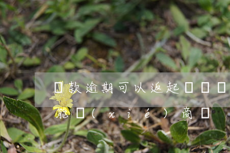 貸款逾期可以返起訴嗎(貸款逾期被起訴后還能協(xié)商嗎)