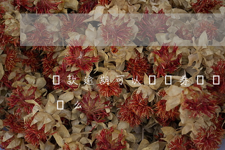 貸款逾期可以開證券戶嗎(證券開戶會影響房貸么)