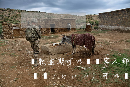 貸款逾期可以騷擾家人那(貸款逾期給家人打電話(huà)可以報(bào)警嗎)