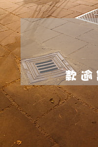貸款逾期可還還本金(逾期了只還本金怎么還)