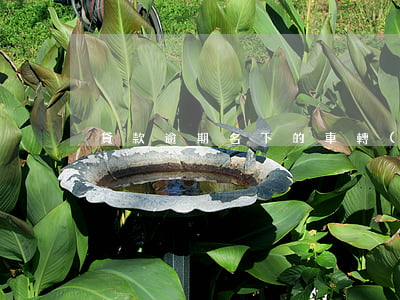 貸款逾期名下的車轉(zhuǎn)移