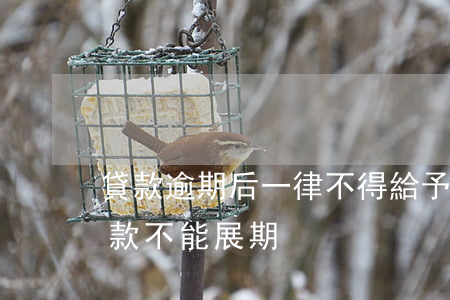 貸款逾期后一律不得給予貸款展期-逾期貸款不能展期