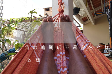貸款逾期后不還會怎么樣(逾期沒有還款會怎么樣)