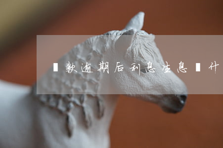 貸款逾期后利息生息嗎(什么叫逾期利息)
