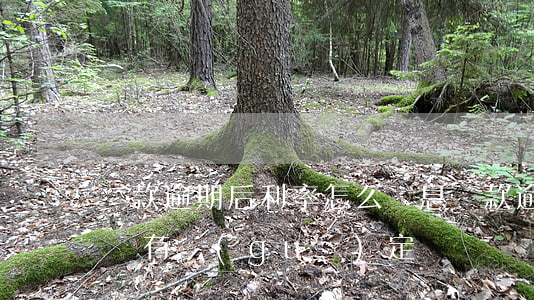 貸款逾期后利率怎么罰息(貸款逾期了罰息有沒有規(guī)定)
