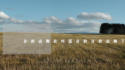 貸款逾期后咋還貸款(貸款逾期了怎么還錢)