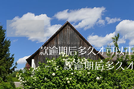 貸款逾期后多久才可以重新申請(qǐng)-貸款逾期后多久才可以重新申請(qǐng)信用卡