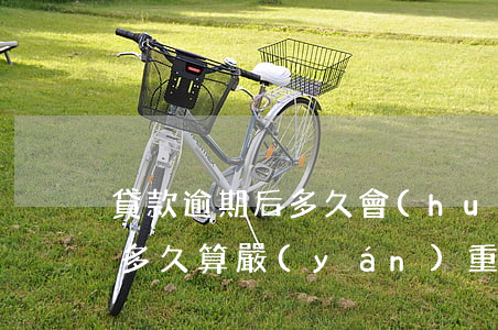 貸款逾期后多久會(huì)罰款(貸款逾期多久算嚴(yán)重啊)