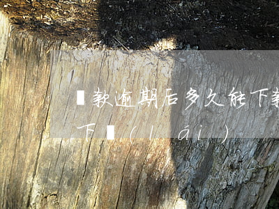 貸款逾期后多久能下款(有逾期貸款能不能貸下來(lái))