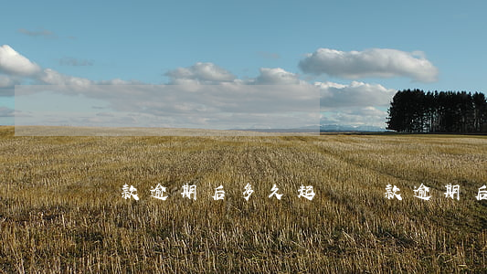 貸款逾期后多久起訴(貸款逾期后多久起訴)