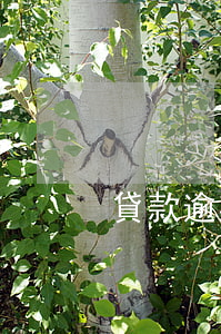 貸款逾期后失信需要幾年